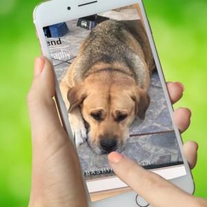 Meet your Posher, Alvaro